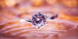 Scopri di più sull'articolo Vestibulum sapin prin quam